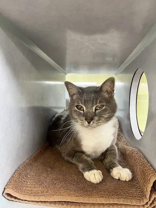 Oak Grove Veterinary Hospital INC. Picture 3