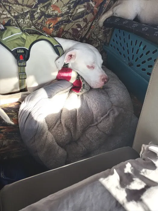 Oak Grove Veterinary Hospital INC. Picture 2