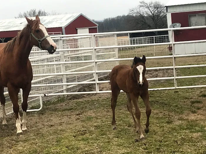 Oak Grove Veterinary Hospital INC. Picture 7