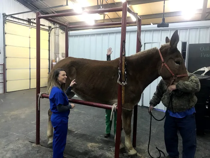 Oak Grove Veterinary Hospital INC. Picture 6