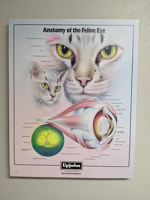 Bratton Veterinary Clinic Picture 1