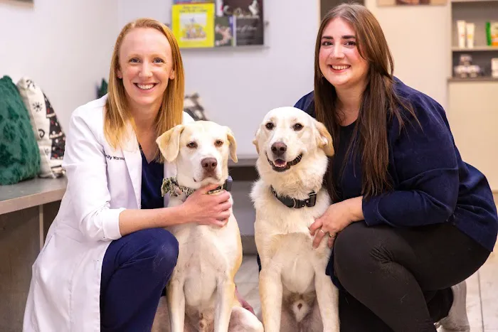 Best Friends Animal Hospital and Pet Hotel Picture 2