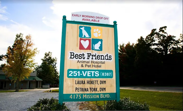 Best Friends Animal Hospital and Pet Hotel Picture 10