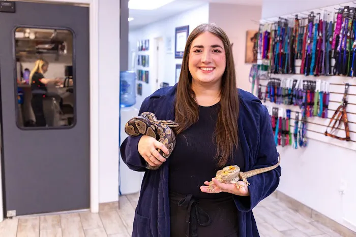 Best Friends Animal Hospital and Pet Hotel Picture 6