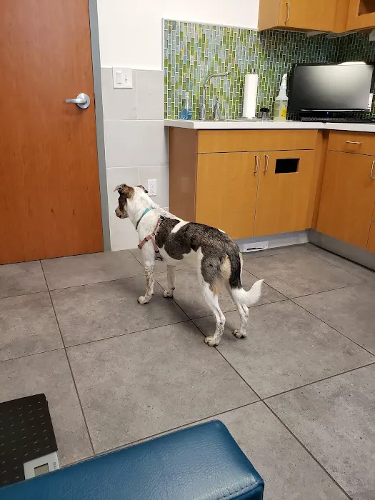 Crossover Veterinary Clinic Picture 2