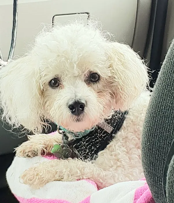 Crossover Veterinary Clinic Picture 5