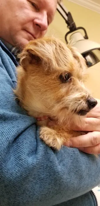 Crossover Veterinary Clinic Picture 6