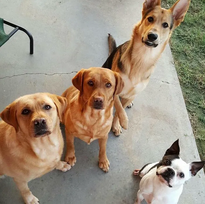 Crossover Veterinary Clinic Picture 7