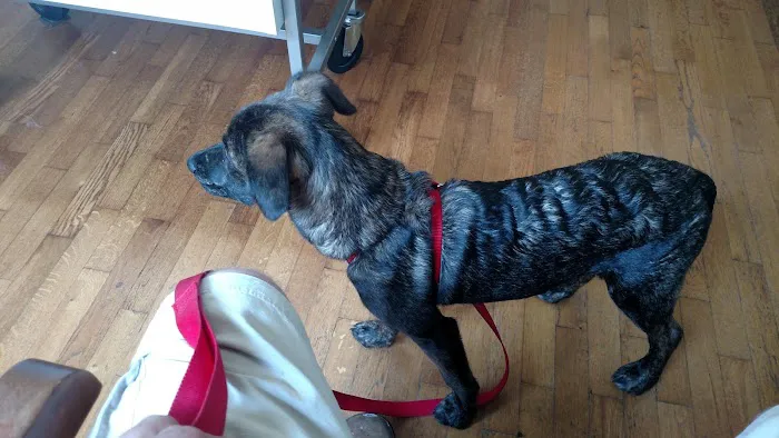 Crossover Veterinary Clinic Picture 9