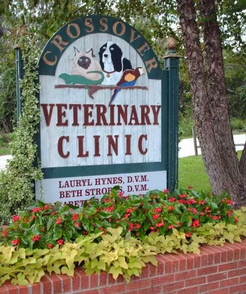 Crossover Veterinary Clinic Picture 10