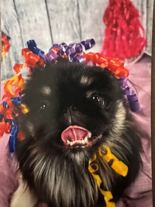 SAHO Owasso West Animal Hospital and Pet Resort Picture 2