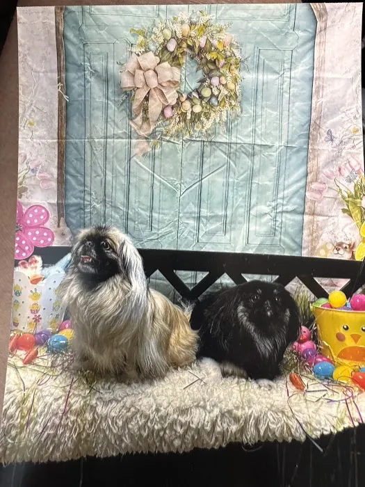 SAHO Owasso West Animal Hospital and Pet Resort Picture 3