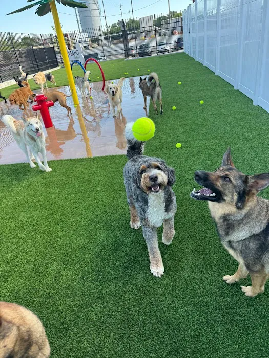 SAHO Owasso West Animal Hospital and Pet Resort Picture 8