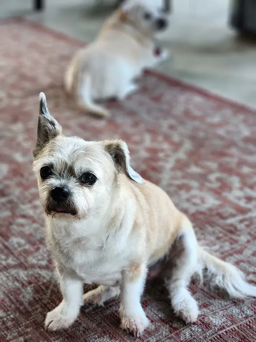 Stockyards Veterinary Clinic Picture 2