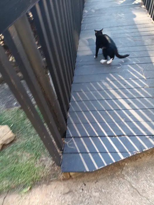 Stockyards Veterinary Clinic Picture 3