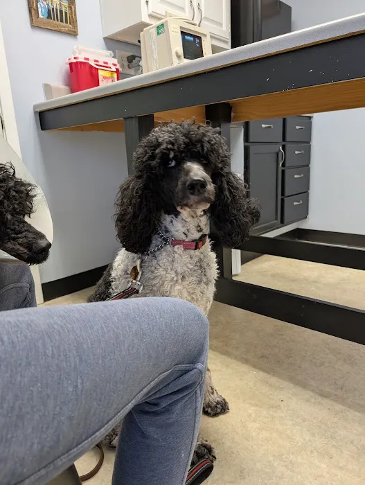 Stockyards Veterinary Clinic Picture 1