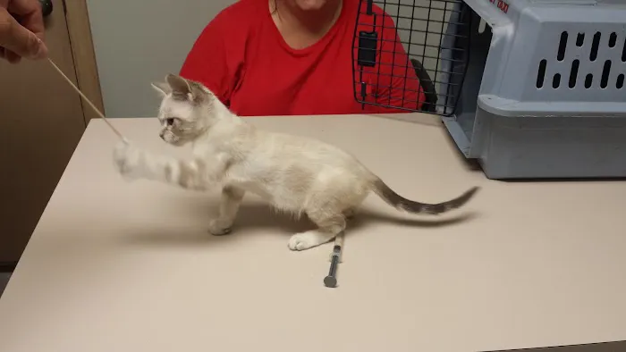 Valley Glen Veterinary Hospital Picture 2