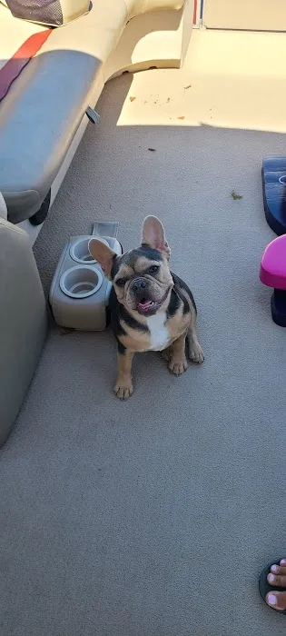 Valley Glen Veterinary Hospital Picture 3