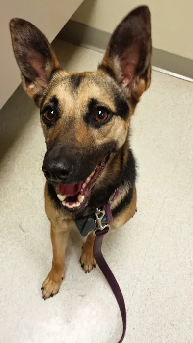 Valley Glen Veterinary Hospital Picture 4