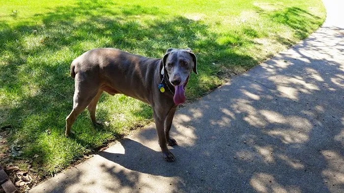 Valley Glen Veterinary Hospital Picture 7