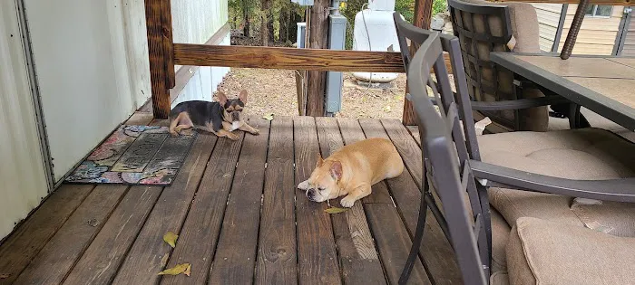 Valley Glen Veterinary Hospital Picture 10