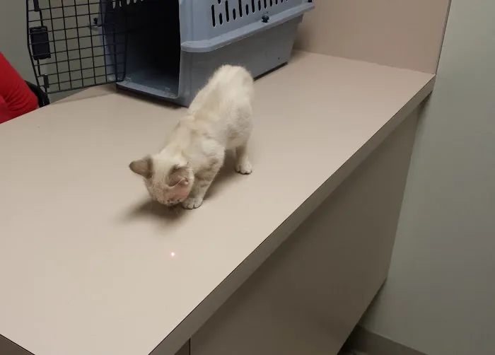 Valley Glen Veterinary Hospital Picture 9