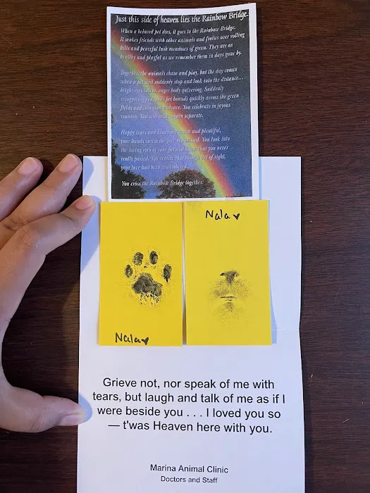 Marina Animal Clinic Inc Picture 2