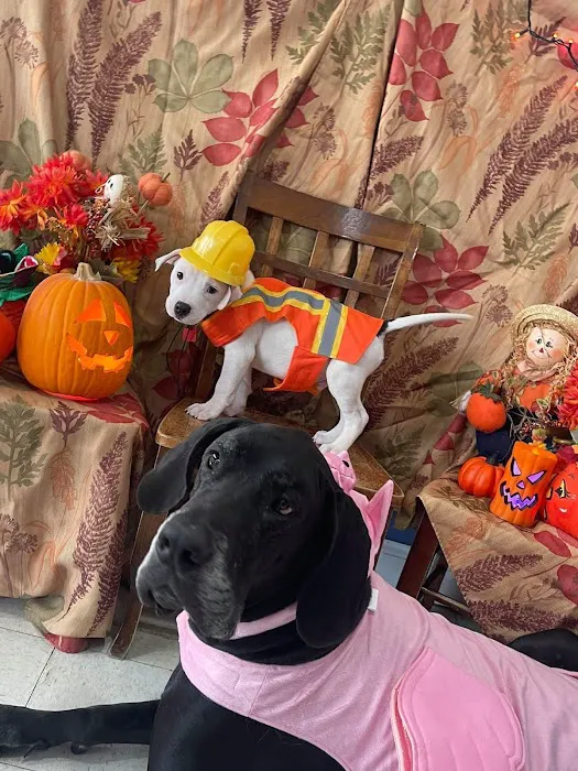 Marina Animal Clinic Inc Picture 9