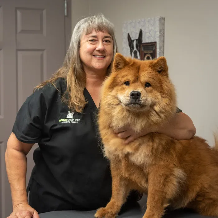 Good Shepherd Veterinary Hospital - Broken Arrow Picture 9
