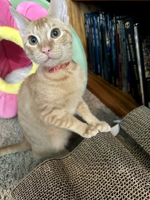 Banfield Pet Hospital Picture 1