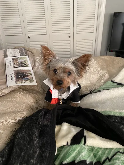 Banfield Pet Hospital Picture 2