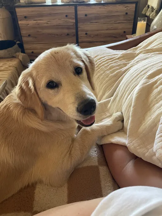 Banfield Pet Hospital Picture 3