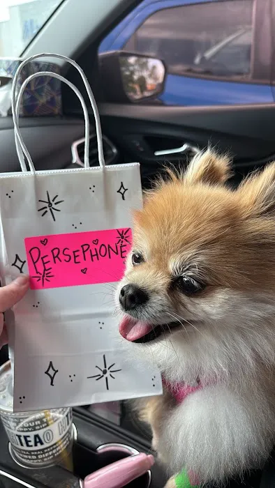 Banfield Pet Hospital Picture 6