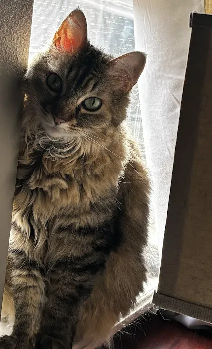 Banfield Pet Hospital Picture 5