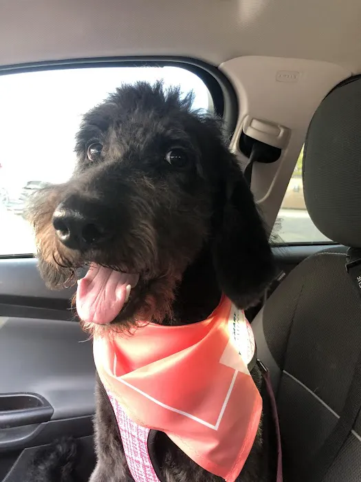 Banfield Pet Hospital Picture 8