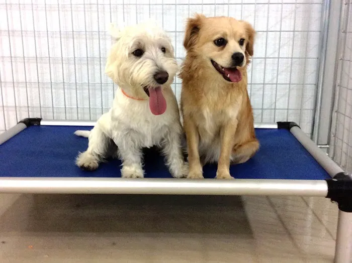 Mingo Road Veterinary Hospital Picture 3