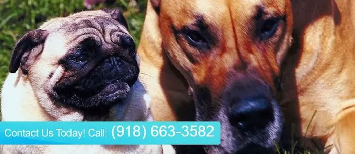 Mingo Road Veterinary Hospital Picture 4