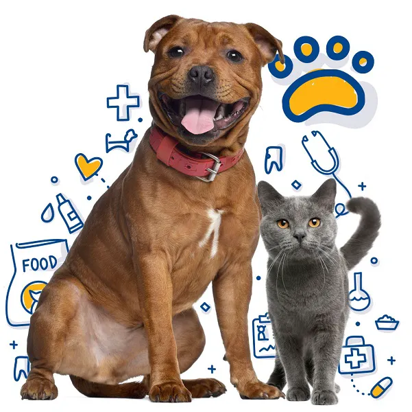 Mingo Road Veterinary Hospital Picture 6