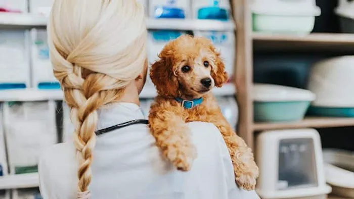 Tallgrass Animal Urgent Care Picture 5