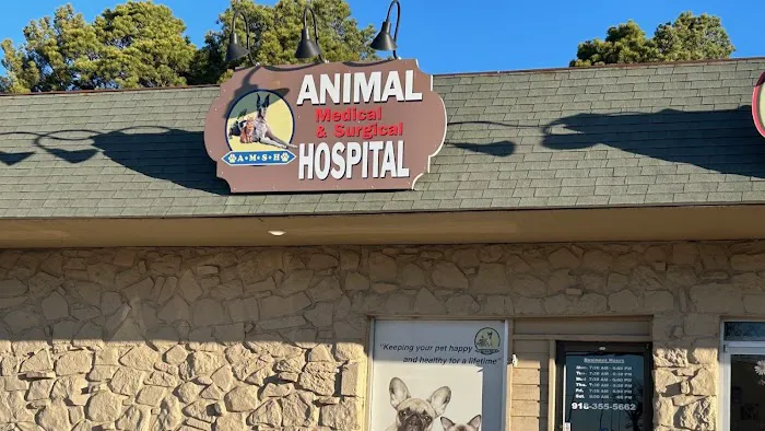 Animal Medical and Surgical Hospital East Picture 2