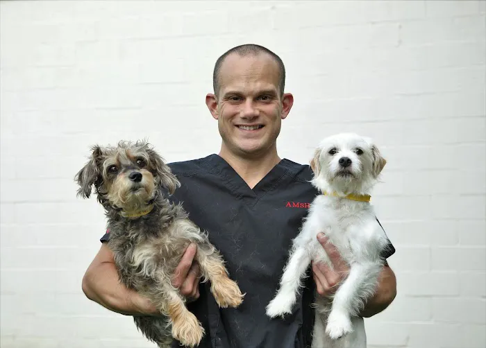 Animal Medical and Surgical Hospital East Picture 5