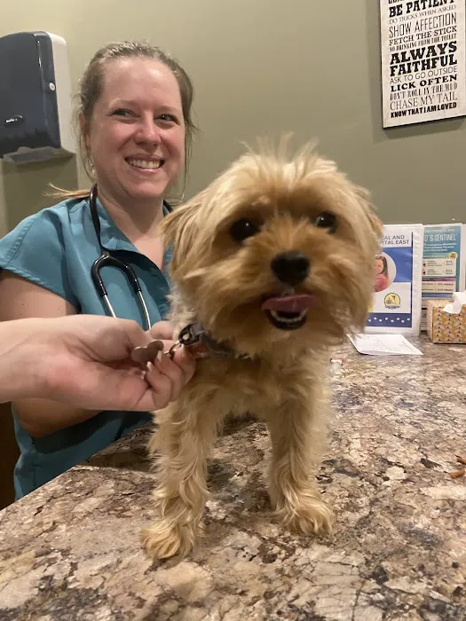 Animal Medical and Surgical Hospital East Picture 3