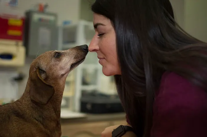 Animal Medical and Surgical Hospital East Picture 6