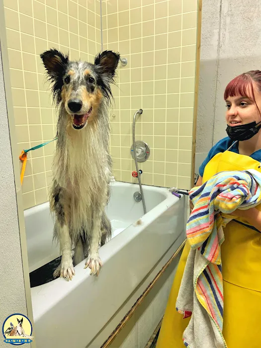 Animal Medical and Surgical Hospital East Picture 7