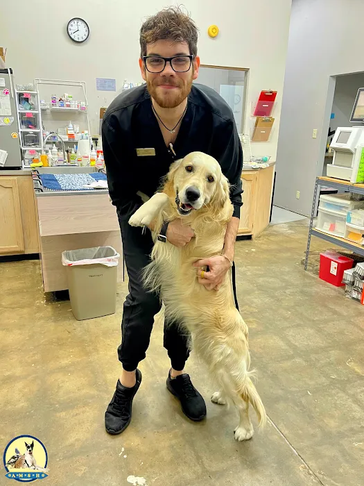 Animal Medical and Surgical Hospital East Picture 10