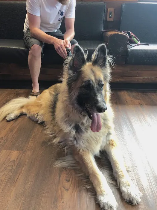 Animal Eye Clinic Picture 1