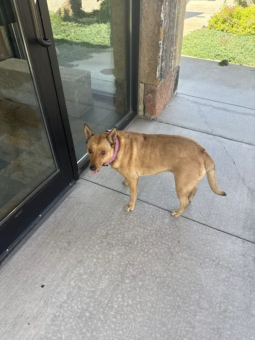 Animal Eye Clinic Picture 8