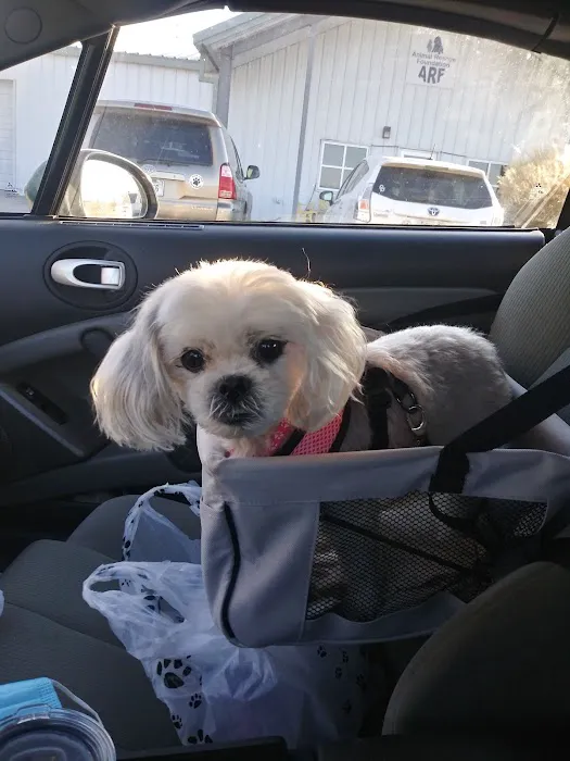 Skiatook Animal Clinic Picture 4