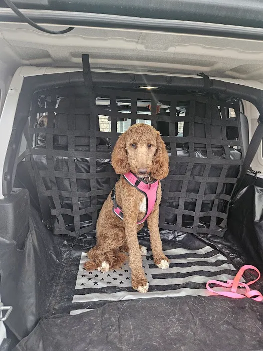 Skiatook Animal Clinic Picture 3