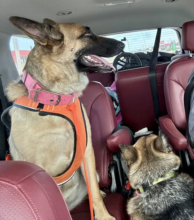 Skiatook Animal Clinic Picture 2